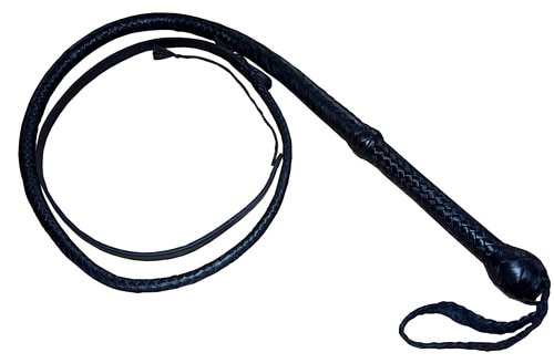 bullwhip