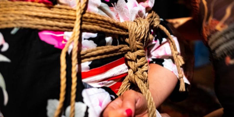 shibari bondage